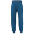 True Religion Hs True Jogger Blue Sweatpants