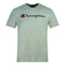 Champion Classic Script Logo Grey TShirt 209829 EM006