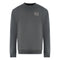 Ea7 Branded Patch Logo Iron Gate Sweatershirt