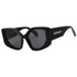Off-White Denver 1007 Black / Dark Grey Sunglasses One Size