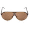 Carrera Brown Gradient Lens Brown Sunglasses One Size