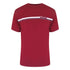 Aquascutum Active Active Cotton Stripes T-Shirt Bordeaux Aa_Core_Ts001_14 Burgundy T-Shirt Mens
