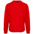 Plein Sport Large Branded Logo Tiger Red Jumper S