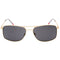 Hugo Boss Grey Lens Gold Sunglasses HG1287 02F7 IR