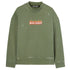 Palm Angels Pmba065F22Fle0145601 Green Sweatshirts Male