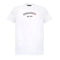 Dsquared2 Logo T-Shirt White M