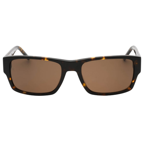 Tommy Hilfiger Brown Lens Havana Sunglasses One Size