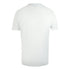 Cavalli Class Txt60D Jd060 00533 Off White T-Shirt Mens M