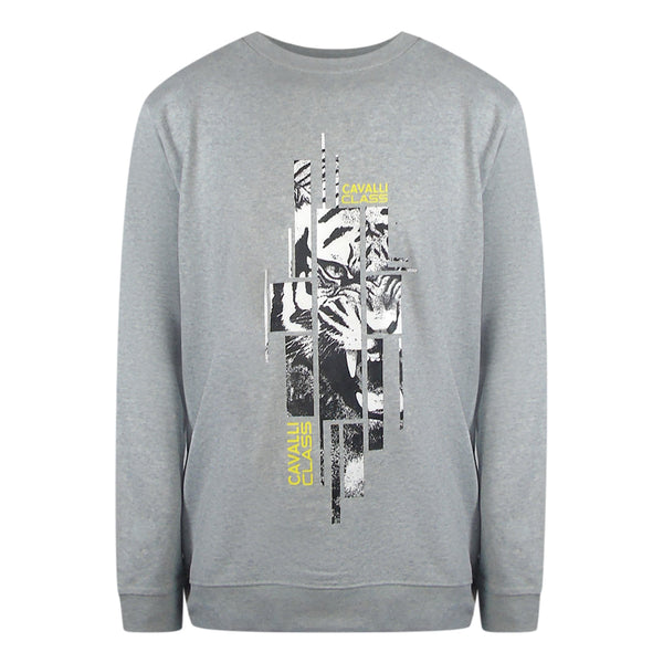 Cavalli Class Txt66E Cf050 05001 Grey Round Neck Sweatshirt Mens M