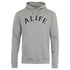 Alife Collegiate Grey Hoodie ALIFW20 29
