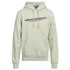 Diesel Industry Denim Division Logo Beige Hoodie